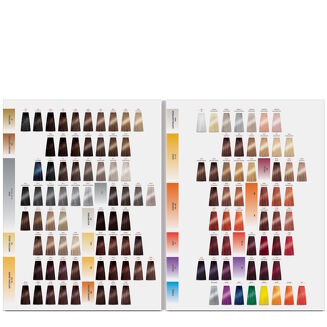 INTENSIS COLOR ART Paleta kolorów farb - 3