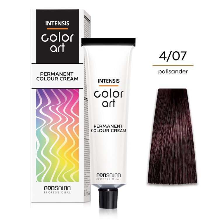 INTENSIS COLOR ART Farba 4/07 - palisander 100 g