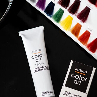 INTENSIS COLOR ART Farba 3/G4 - ciemna kawa 100 g - 3