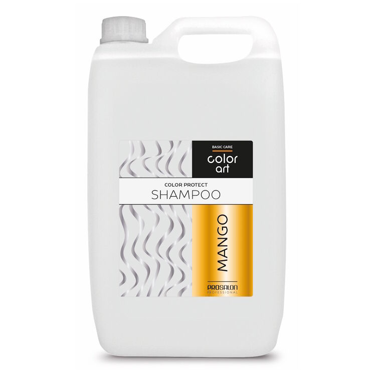 COLOR ART BASIC CARE Szampon chroniący kolor z mango 5000 ml