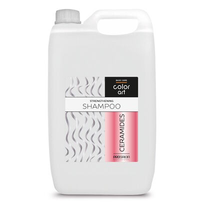 COLOR ART BASIC CARE Szampon wzmacniający z ceramidami 5000 ml